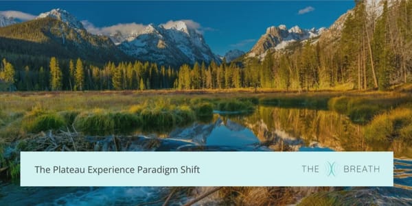The Plateau Experience: Your Secret to Sustainable Fulfilment